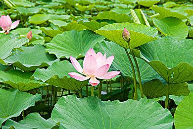 《家园3》开发商开始执行每周四天工作日模式